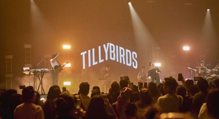 Tilly Birds